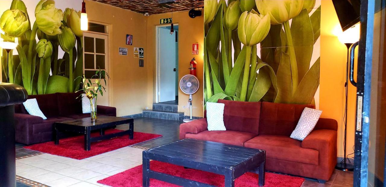 Hotel Ollanta Ica Buitenkant foto